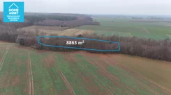 HS545309 - zdjęcie nr 4