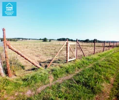 HS273328 - zdjęcie nr 3