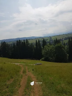 TC369978 - zdjęcie nr 1