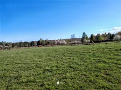 TC100388 - zdjęcie nr 2