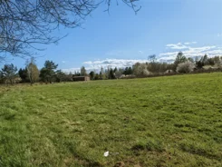 TC100388 - zdjęcie nr 3