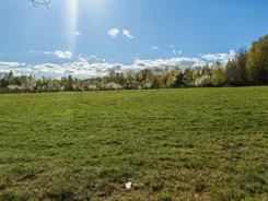 TC100388 - zdjęcie nr 4