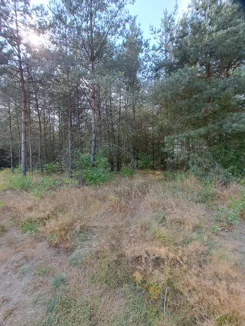 28-1 - zdjęcie nr 3
