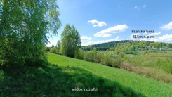 10036652 - zdjęcie nr 2
