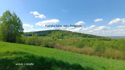 10036652 - zdjęcie nr 3