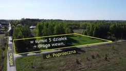 10164635 - zdjęcie nr 4