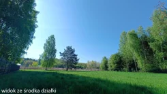 10164635 - zdjęcie nr 1