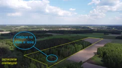 9758495 - zdjęcie nr 2