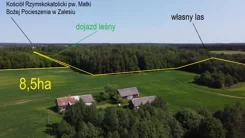 9681776 - zdjęcie nr 1