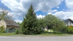 10178617 - zdjęcie nr 3