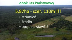 10261876 - zdjęcie nr 2