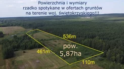 10261876 - zdjęcie nr 4
