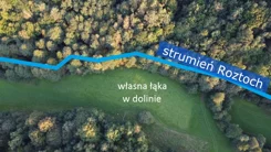 9820235 - zdjęcie nr 4