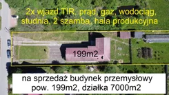 10063738 - zdjęcie nr 2