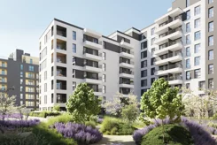 Nowa Francuska IIA - zdjęcie nr 5