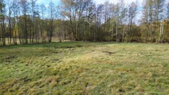 20320 - zdjęcie nr 2