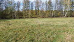 20320 - zdjęcie nr 4