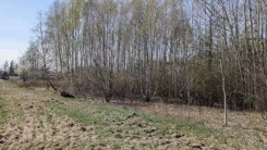 20353 - zdjęcie nr 1