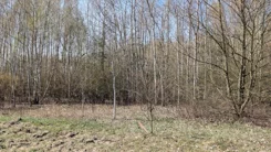 20353 - zdjęcie nr 3