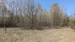 20353 - zdjęcie nr 4