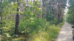 19860 - zdjęcie nr 3