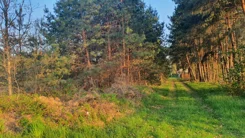 19960 - zdjęcie nr 0