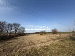 260 - zdjęcie nr 4