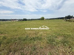 300 - zdjęcie nr 3