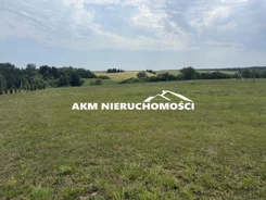 300 - zdjęcie nr 4