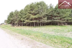 17/11339/OGS - zdjęcie nr 2