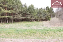 17/11339/OGS - zdjęcie nr 3