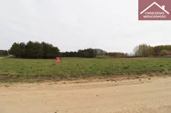 19/11339/OGS - zdjęcie nr 4