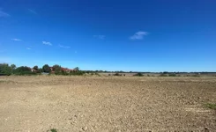 10369818 - zdjęcie nr 2