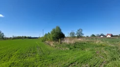 19/2517/OGW - zdjęcie nr 4