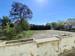 217424 - zdjęcie nr 1
