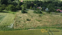 787379 - zdjęcie nr 0