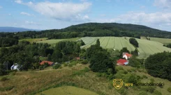 787379 - zdjęcie nr 2