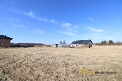 290222 - zdjęcie nr 2