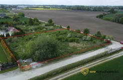 347780 - zdjęcie nr 2