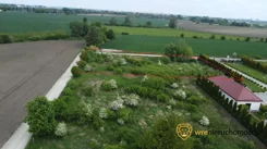 347780 - zdjęcie nr 4