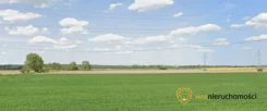 446995 - zdjęcie nr 2