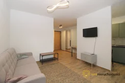 812136 - zdjęcie nr 0