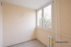 950365 - zdjęcie nr 3