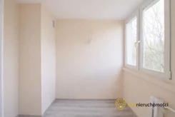 950365 - zdjęcie nr 4