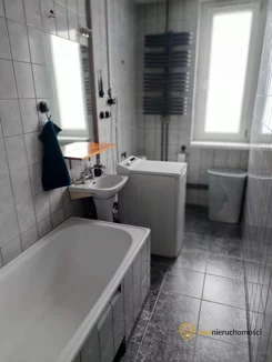 645387 - zdjęcie nr 3