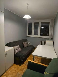 981277 - zdjęcie nr 0