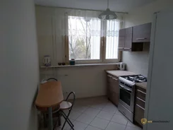 981277 - zdjęcie nr 3