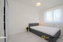 599838 - zdjęcie nr 3