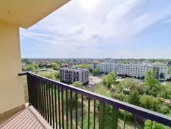 860778 - zdjęcie nr 0