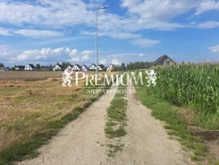28810117 - zdjęcie nr 3